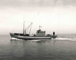 Sin t&iacute;tulo, 1969. &copy; Estate of Jannis Kounellis, 2025. Fotograf&iacute;a: Mimmo Iodice