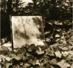 Tumba de Gustav Klimt en el cementerio de Hietzing