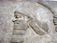 Sarg&oacute;n de Acad