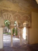 Patio de los naranjos