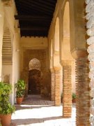 Patio de los naranjos