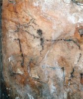 Cueva de Nerja, M&aacute;laga