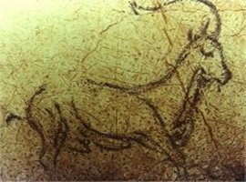 Cabra mont&eacute;s de la Cueva d ela Pileta