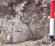 Torre del Espinar. Detalle de los enlucidos