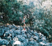 Amontonamiento de piedras calizas