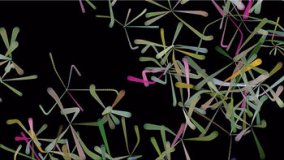 John Maeda. "Nature" 2005  