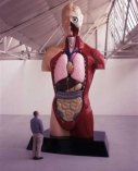Damien Hirst
