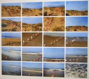 ASCO, Activo en Los &Aacute;ngeles, 1970-1987; miembros fundamentales, incluidos Harry Gamboa, Jr., Gronk, Willie Herron, Patsi Valdez y Humberto Sandoval