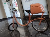 Colectivo Oso "Gallo"