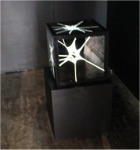 Leticia Morales, ‘Shi-Valva’,  t&eacute;cnica mixta, 11&deg; Encuentro Estatal Arte Contempor&aacute;neo  