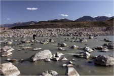 Minerva Cuevas "Beyond Borders" Instalaci&oacute;n en la frontera USA-M&eacute;xico  