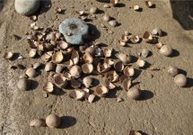 "Caz Caz", una acci&oacute;n colectiva como parte del Encuentro Independiente de Performance (E.P.I.) Internacional, Mulchen, Chile. Foto de V&iacute;ctor Afanor, 2013