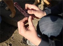 "Caz Caz", una acci&oacute;n colectiva como parte del Encuentro Independiente de Performance (E.P.I.) Internacional, Mulchen, Chile. Foto de Jorge Restrepo, 2013