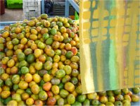 "Mayoreo", instalaci&oacute;n de Jorge Restrepo en el mercado, Museo del Hombre Hondure&ntilde;o, Tegucigalpa, Honduras. Foto de Dana Hincapi&eacute;, 2005