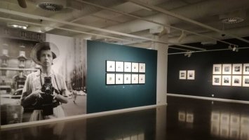 Vista de la exposici&oacute;n