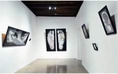 Annete Messager Vista de sala en el Museo Amparo