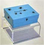 Armando de la Garza. "Reinos de la naturaleza y hombre".