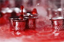 Beth Moys&eacute;s, Trans-bordando, S&atilde;o Paulo, 2012