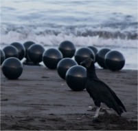 Instalaci&oacute;n en medio natual "Zopilotes", Jorge Restrepo, foto de Jorge Espinosa, Isla del Tigre, Honduras, 2009
