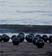 Instalaci&oacute;n en medio natual "Zopilotes", Jorge Restrepo, foto de Jorge Espinosa, Isla del Tigre, Honduras, 2009