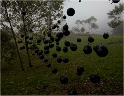 Performance colectivo "Carbono", Jorge Restrepo y Gabriela Alonso, foto de Mateo Mu&ntilde;oz, Cali, Colombia, 2010