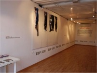 Exposici&oacute;n plu&play. M&aacute;laga. 2009