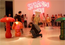 Serie Metamorfosis en el CAC M&aacute;laga