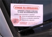 Yolanda Domínguez, Finge tu orgasmo 2010