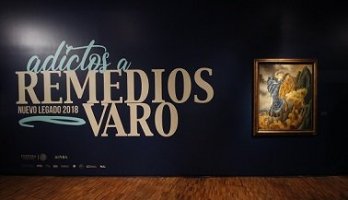 Vista de la exposici&oacute;n
