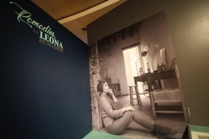 Vista de la exposici&oacute;n