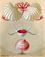 Naturaleza viva XIV, 1943. Colecci&oacute;n Navarro-Valero