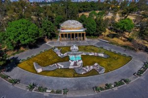 Edward Weston 1923"Retrato de Tina Modotti"