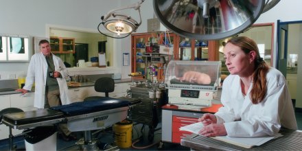 Science Story Part IV: Thesis and Conclusions. De la serie Science Story. Fotograf&iacute;a digital C-type 100 x 200 cm, 2001.