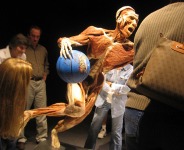 ‘Bodies, the exhibition’,  Madrid el 2008