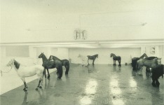 Jannis Kounellis y la obra realizada en 1969 en la Galer&iacute;a L&acute;Attico de Roma