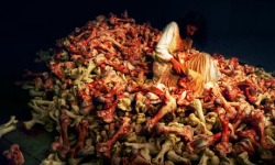 Marina Abramovic y su obra Balkan Baroque presentada y premiada en la XLVII Esposizione Internazionale d&acute;Arte, la Biennale di Venezia de 1997