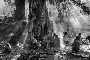 Un grupo debajo del &aacute;rbol con la luz del sol. 