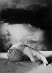 Dora Maar. Sans titre (Main-coquillage), 1934