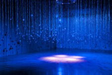 HILLER, Susan, Witness, 2000