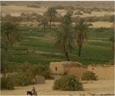Vestigios de una ciudad en el oasis de Al Bahariya, en Egipto