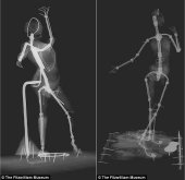 Esculturas de Degas, Museo Fitzwilliam