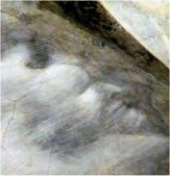 Detalle del fresco de la Basilica de asis de Giotto