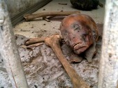 Destrozos a obras del Museo Egipcio del Cairo.