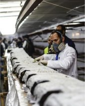 Arque&oacute;logos con la pieza de madera de 26 metros de la barca funeraria de Keops