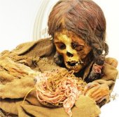 Momia prehispánica que se encuentra en una universidad de EEUU desde 1890