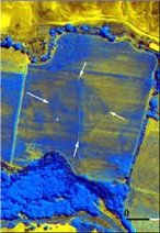 Fotograf&iacute;a tomada el sat&eacute;lite donde puede verse la pir&aacute;mide. National Research Council, Italy