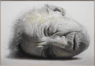 Ganador de la modalidad de pintura del II Premio de la Fundaci&oacute;n de las Artes y los Artistas, GOLUCHO, Retrato de Insomnios