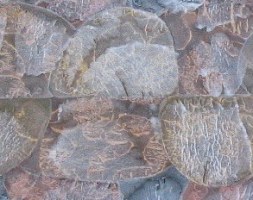 La soledad, una aventura. Acr&iacute;lico sobre tela, 2007 (detalle)