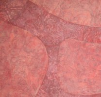 Intimidad con el silencio, acr&iacute;lico sobre tela y triplay, 2007 (detalle)