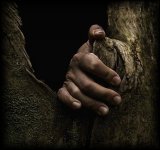 Fotograf&iacute;a de Luis Estrella